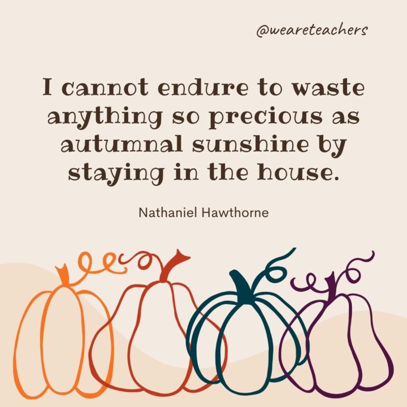 I cannot endure to waste anything so precious as autumnal sunshine by staying in the house. —Nathaniel Hawthorne