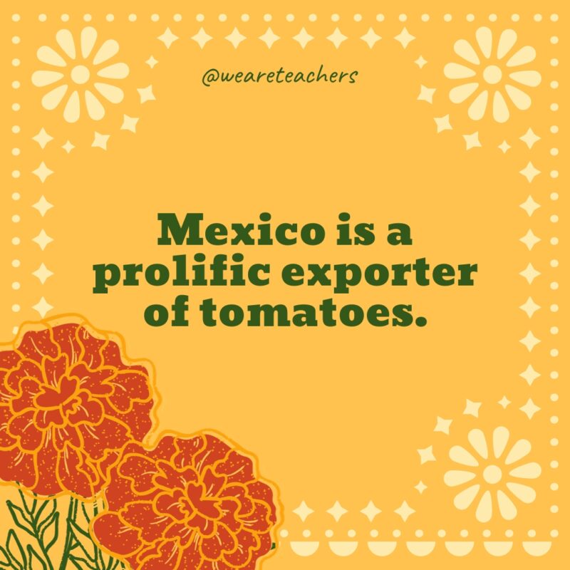 Mexico is a prolific exporter of tomatoes.