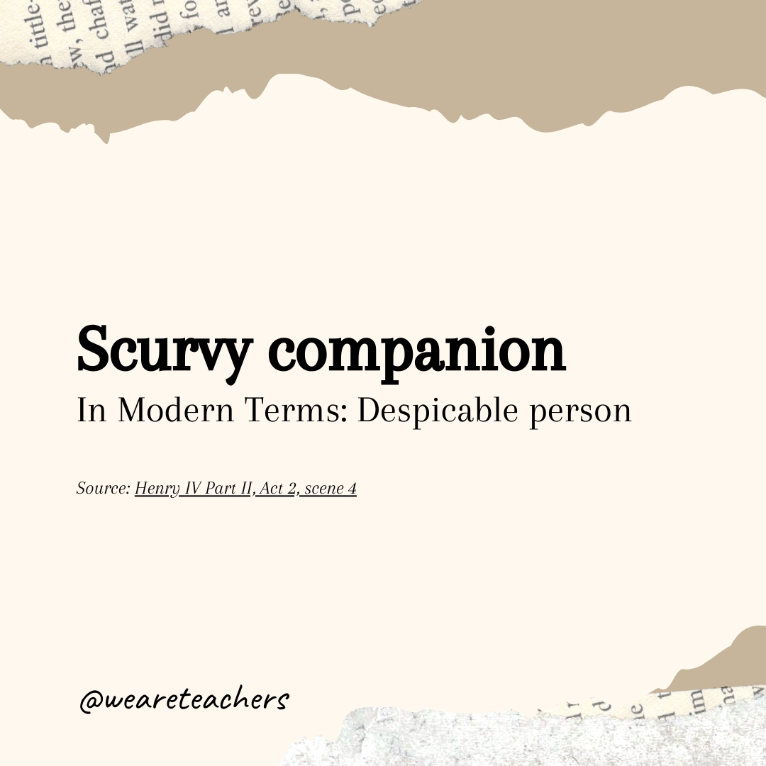 Scurvy companion