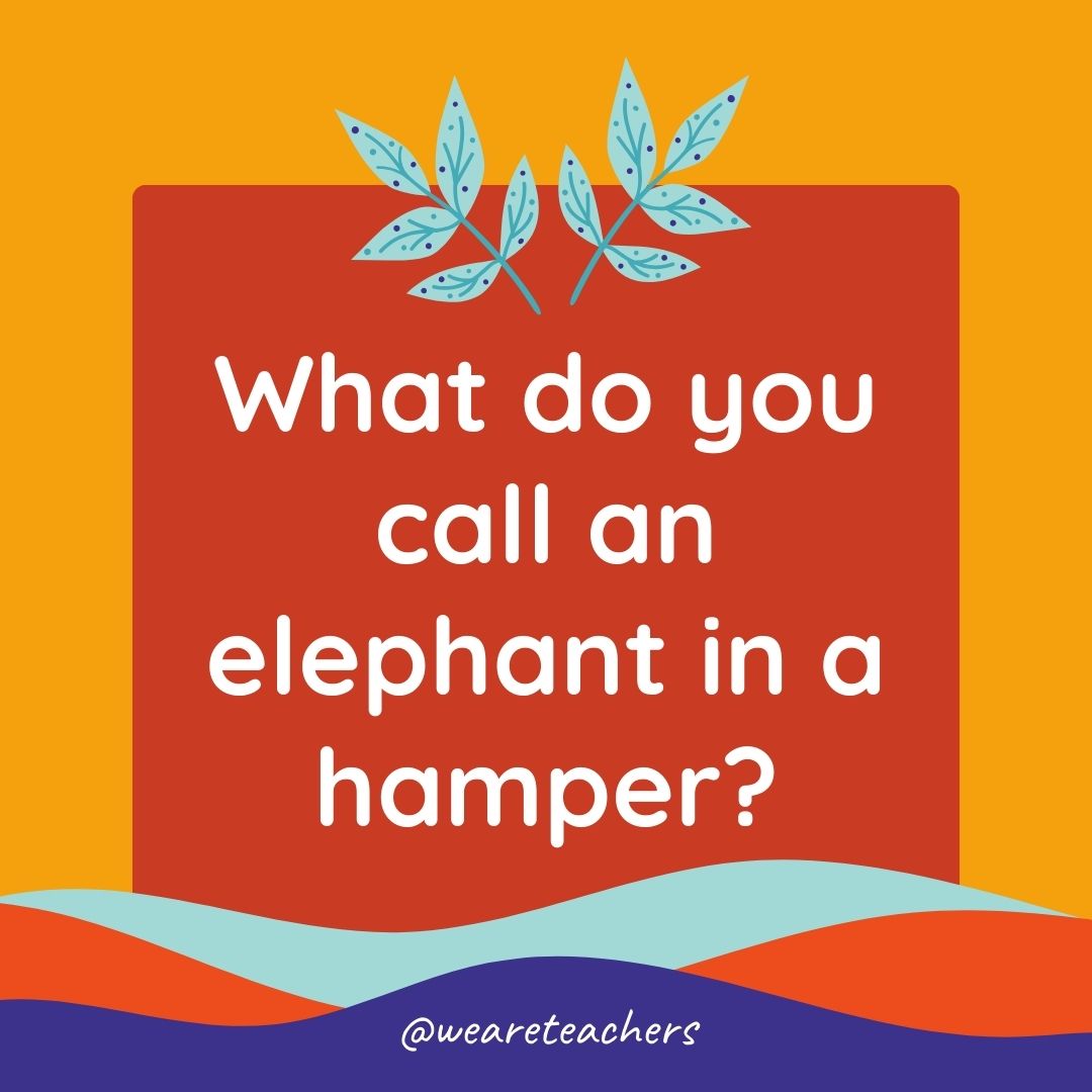 Animal Jokes for Kids