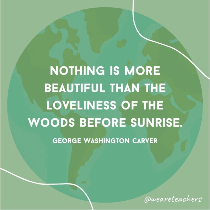 Nothing is more beautiful than the loveliness of the woods before sunrise.