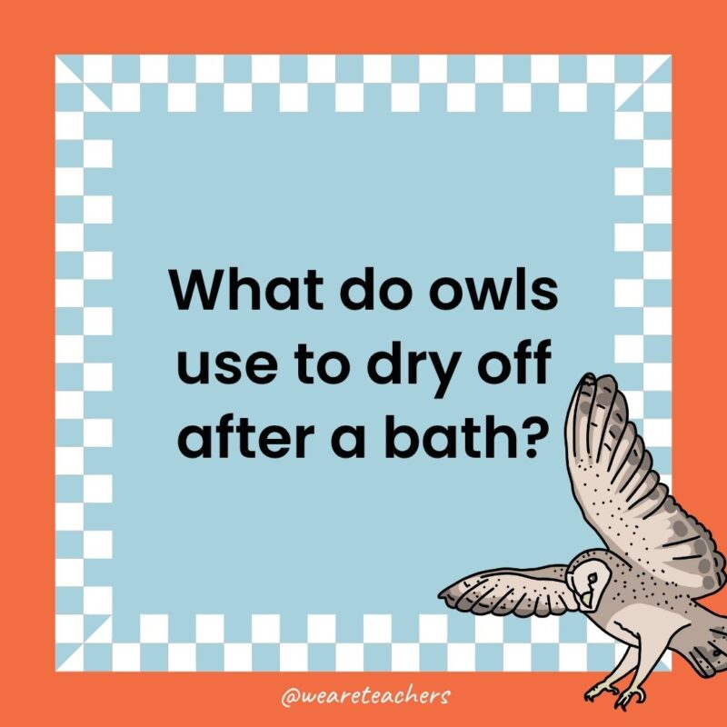 Owl Jokes for Kids a joke that states: What do owls use to dry off after a bath?