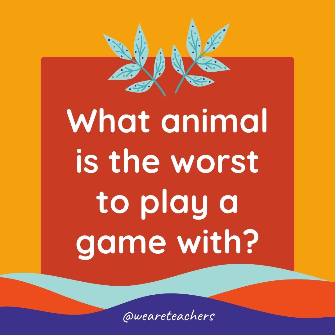 Animal Jokes for Kids