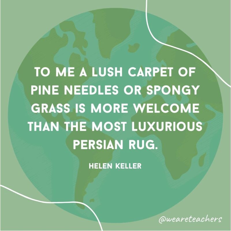 To me a lush carpet of pine needles or spongy grass is more welcome than the most luxurious Persian rug.