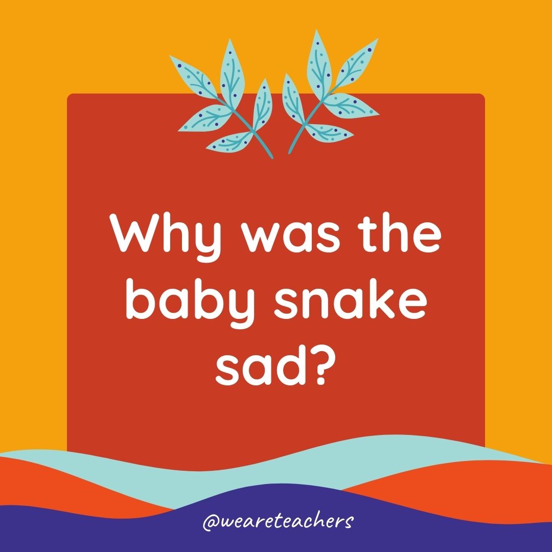 Animal Jokes for Kids