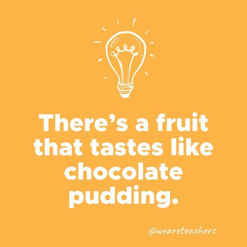 There's a fruit that tastes like chocolate pudding.- weird fun facts 