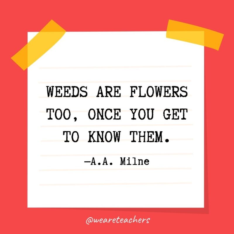 Weeds are flowers too, once you get to know them. —A.A. Milne
