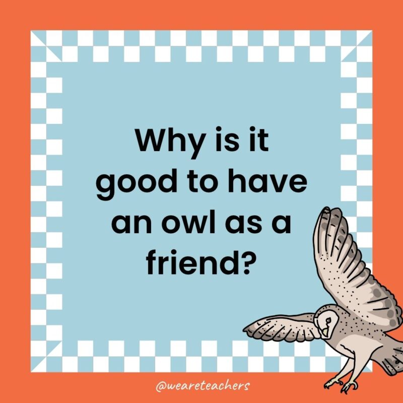Owl Jokes for Kids a joke that states: Why is it good to have an owl as a friend?