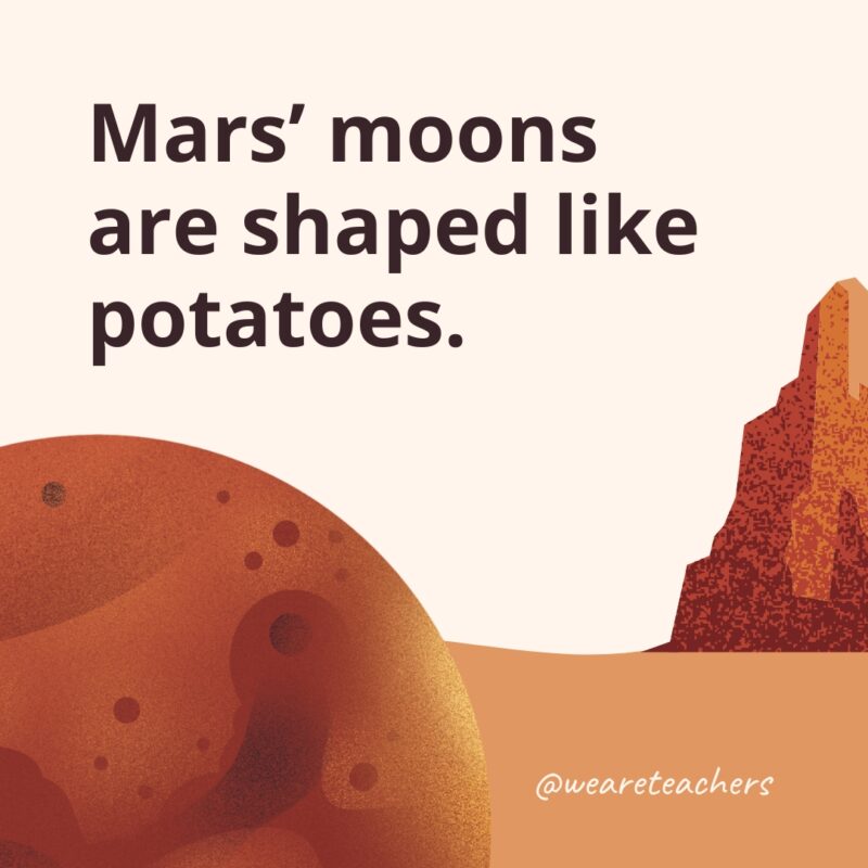 Mars' moons are shaped like potatoes.- facts about Mars 