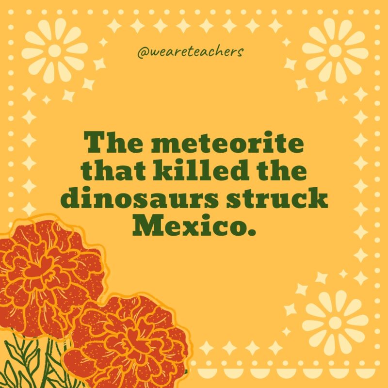 The meteorite that killed the dinosaurs struck Mexico.