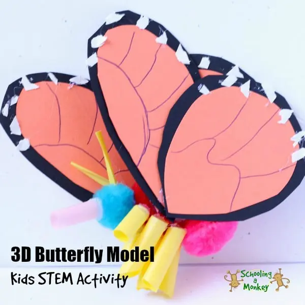 A 3D model of the parts of a butterfly made from construction paper