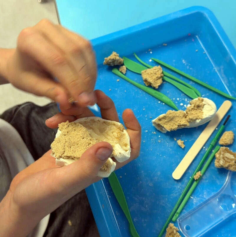 Student using 3D printed clay sculpting tools over a blue plate