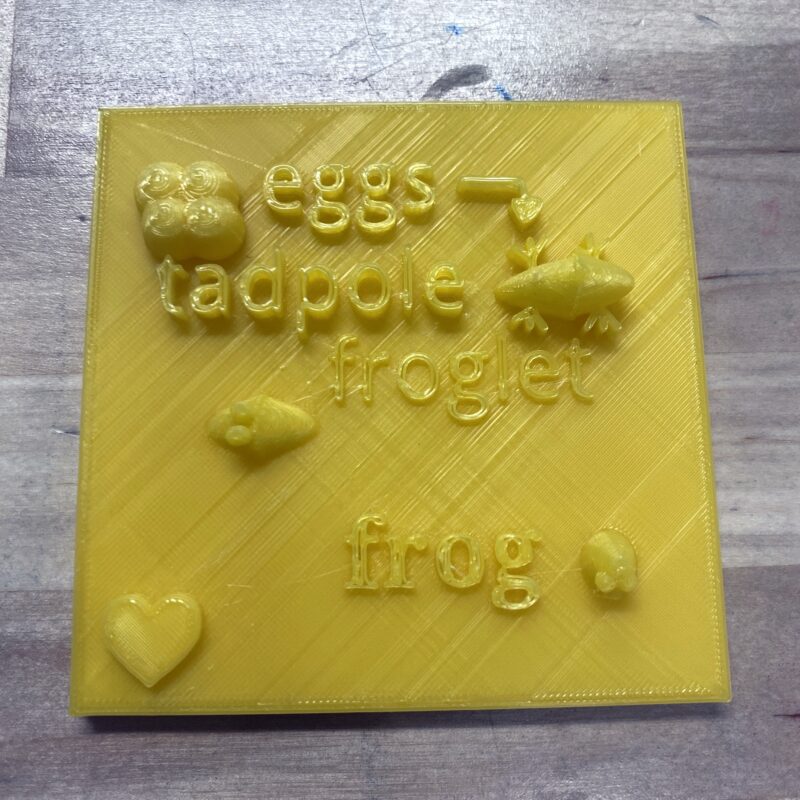 Yellow 3D printed plaque showing the life cycle of a frog