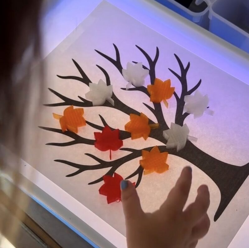 Student using 3D printed leaves on a light table over an outline of a tree