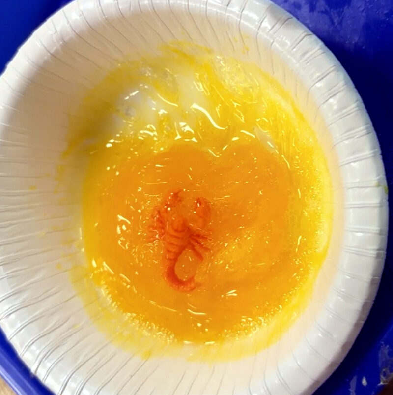 3D printed scorpion in a bowl of amber-colored slime
