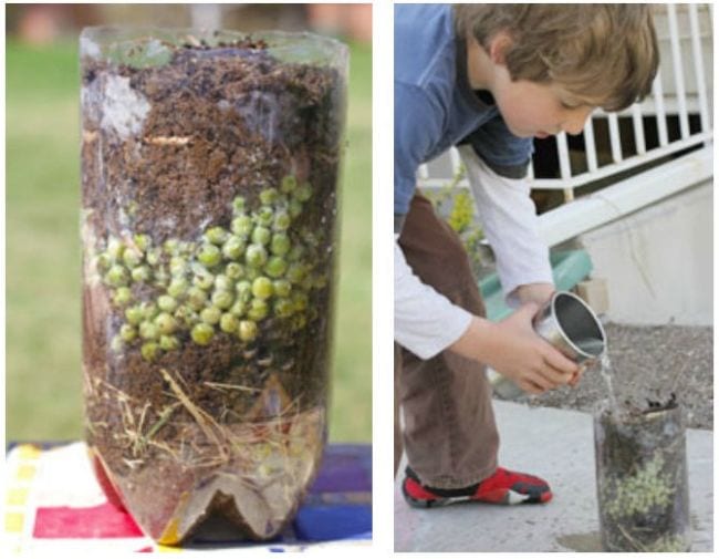 Compost bin built in a two liter soda bottle, with child pouring water into it