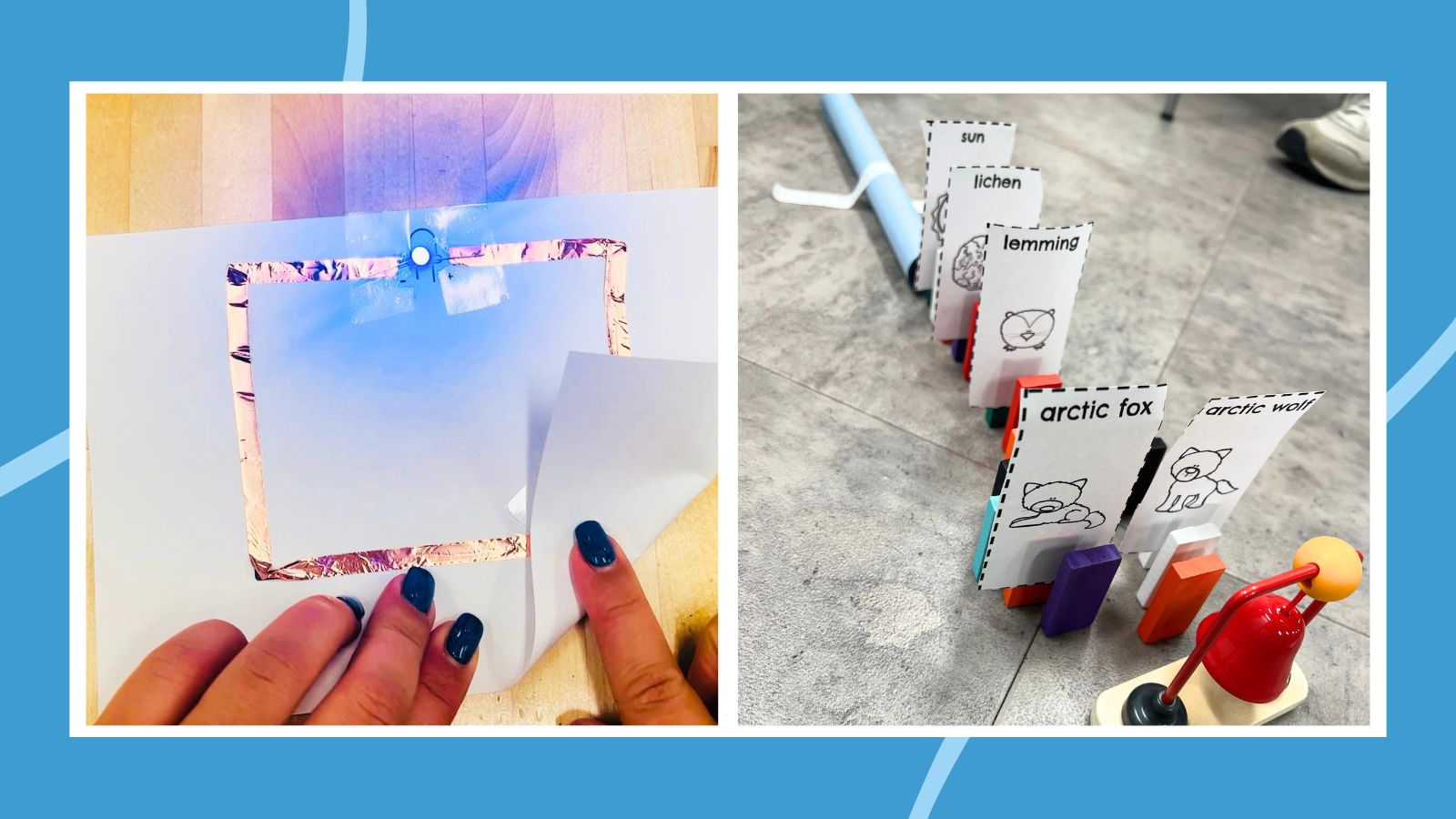 an image of two 3rd grade science projects
