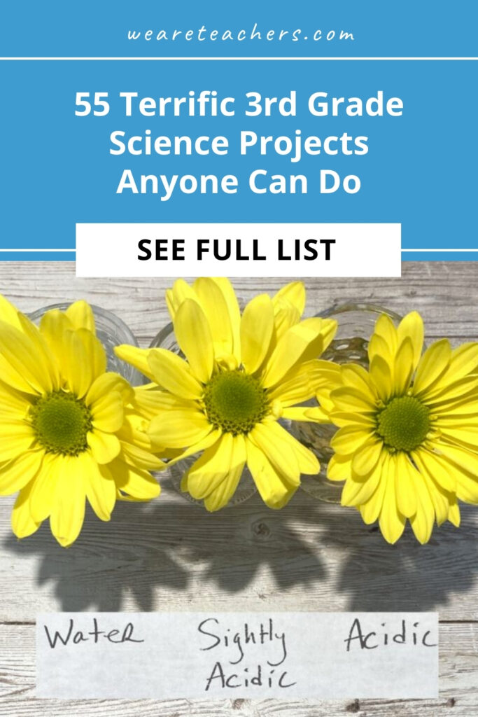 Need ideas for 3rd grade science fair projects, or looking for classroom science experiments and activities? Find them here!