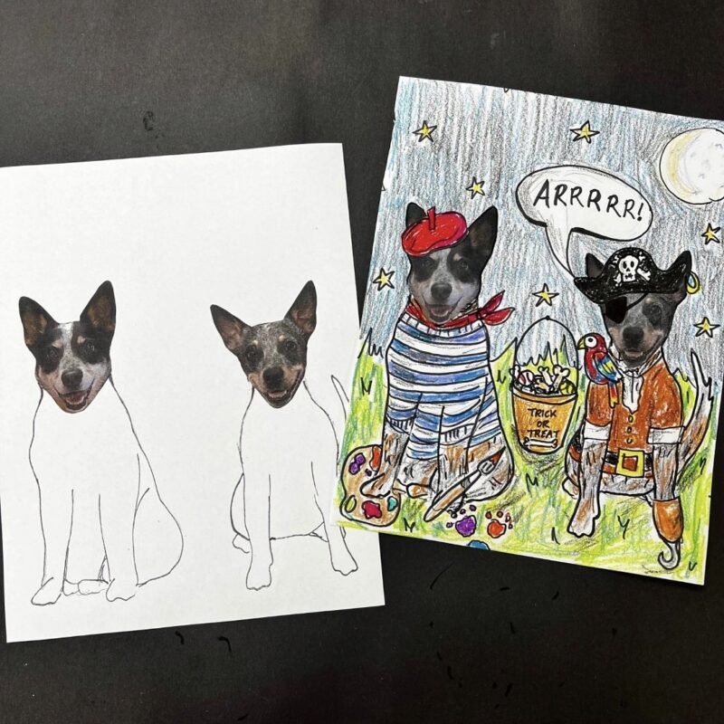 Dog head photos with hand-drawn art to make them look like pirates