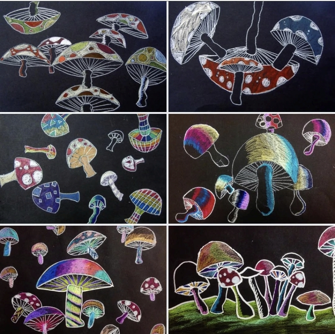 Mushrooms drawn with colored pencils on black paper