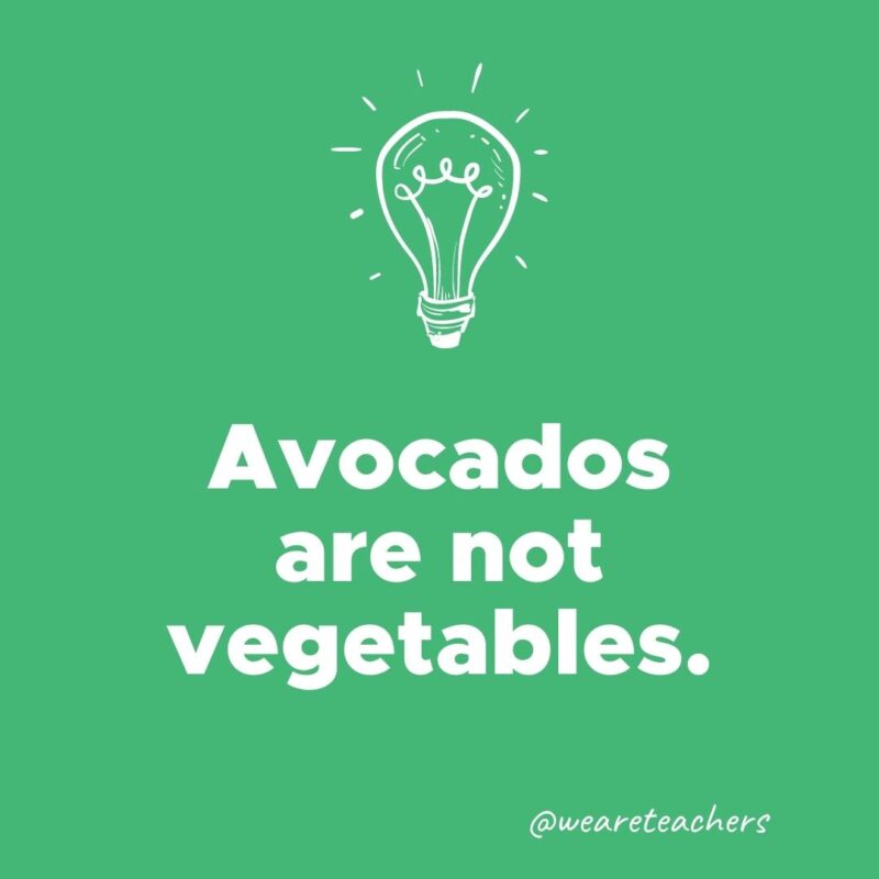 Weird fun fact - Avocados are not vegetables.