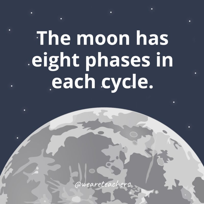 The moon has eight phases in each cycle as example of facts about the moon. 