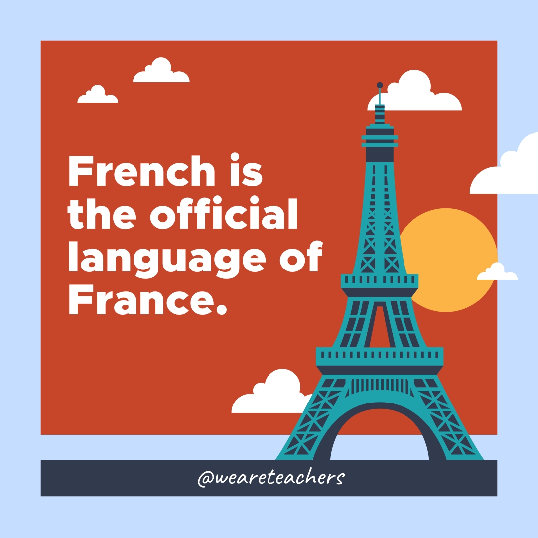 French is the official language of France.