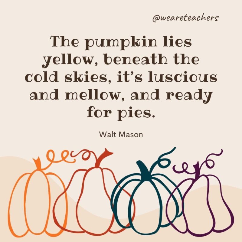 The pumpkin lies yellow, beneath the cold skies, it’s luscious and mellow, and ready for pies. —Walt Mason