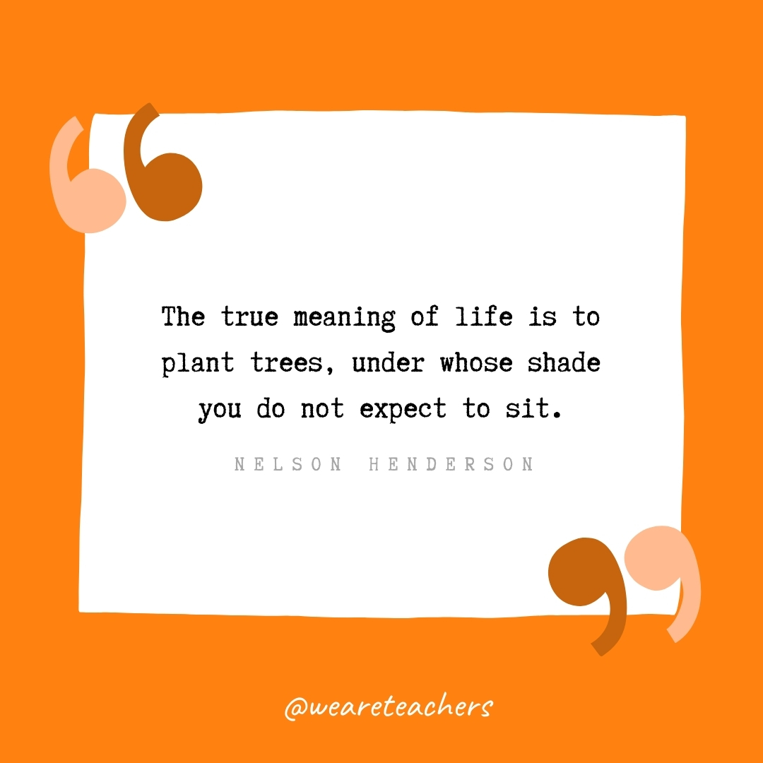 The true meaning of life is to plant trees, under whose shade you do not expect to sit. -Nelson Henderson- volunteering quotes