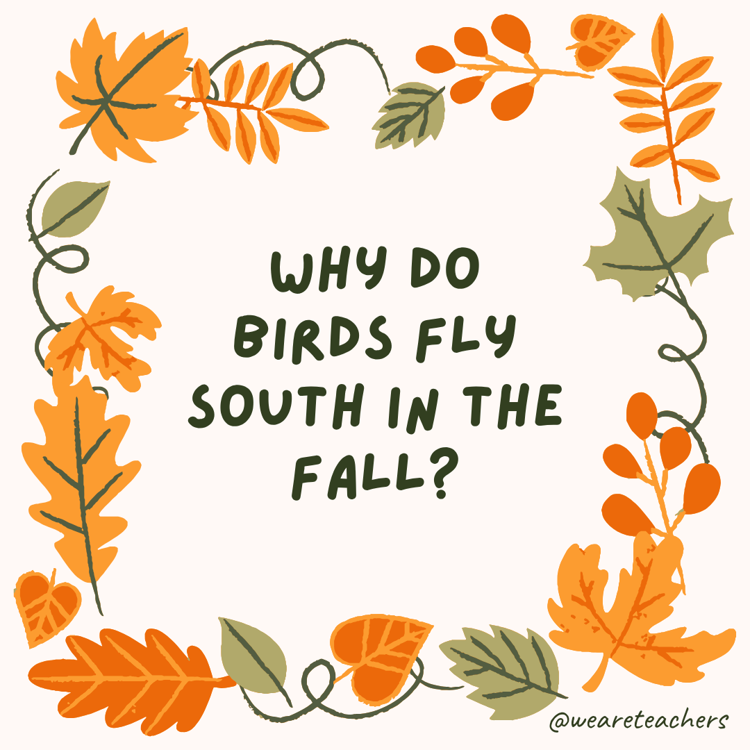Fall Jokes an image of a fall joke surrounded by fall leaves and vines