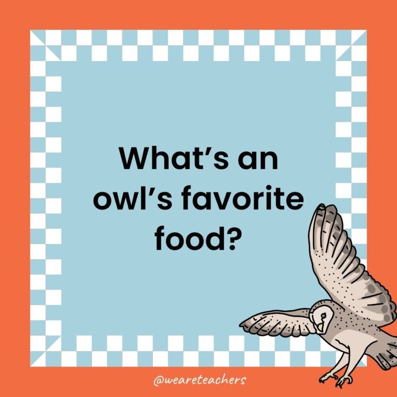 Owl Jokes for Kids a joke that states: What’s an owl’s favorite food?