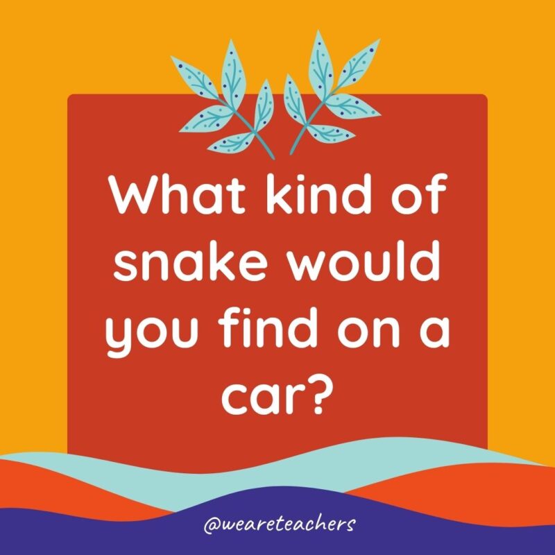 Animal Jokes for Kids