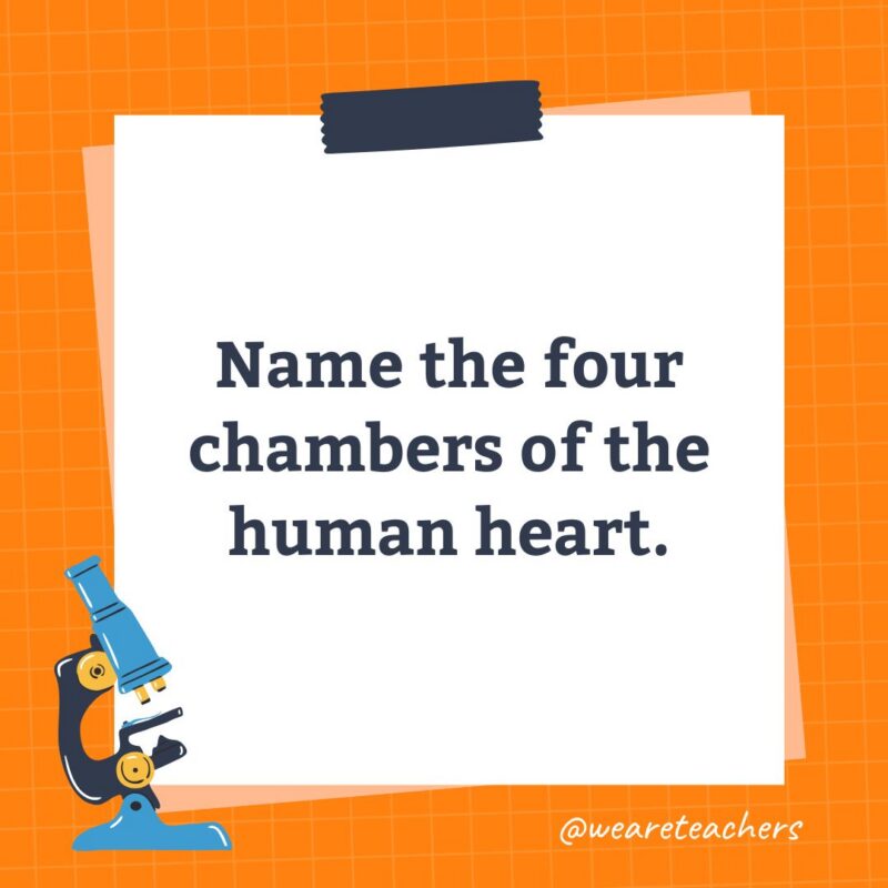 an image of a science trivia question for kids that states: Name the four chambers of the human heart.