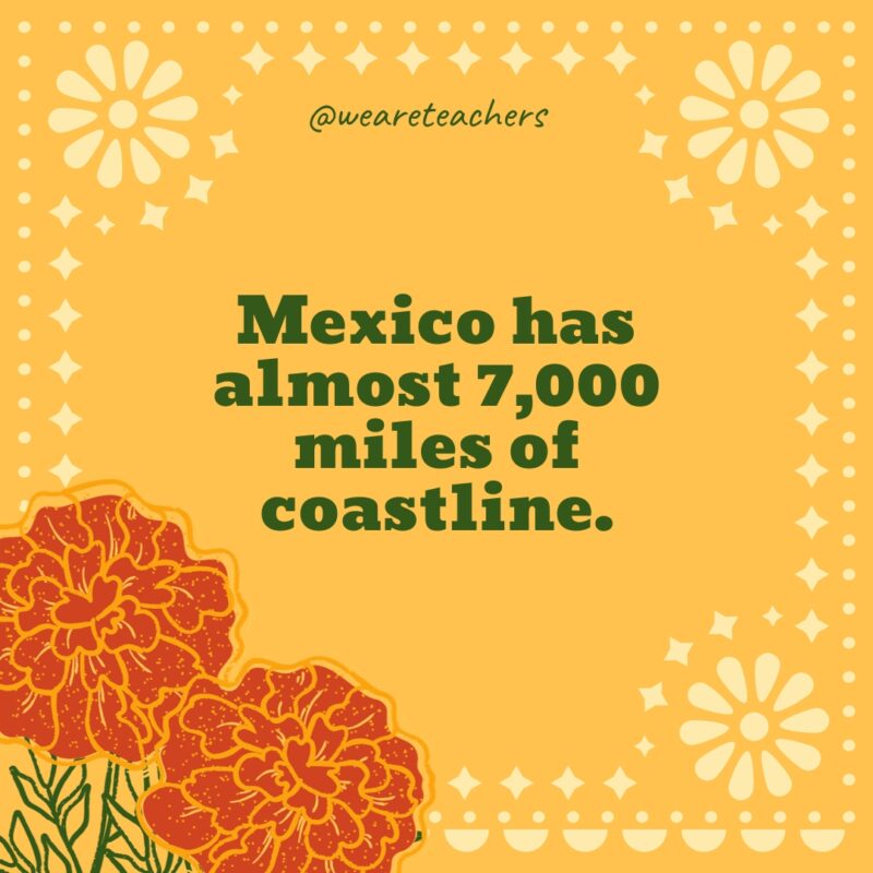 Mexico has almost 7,000 miles of coastline.