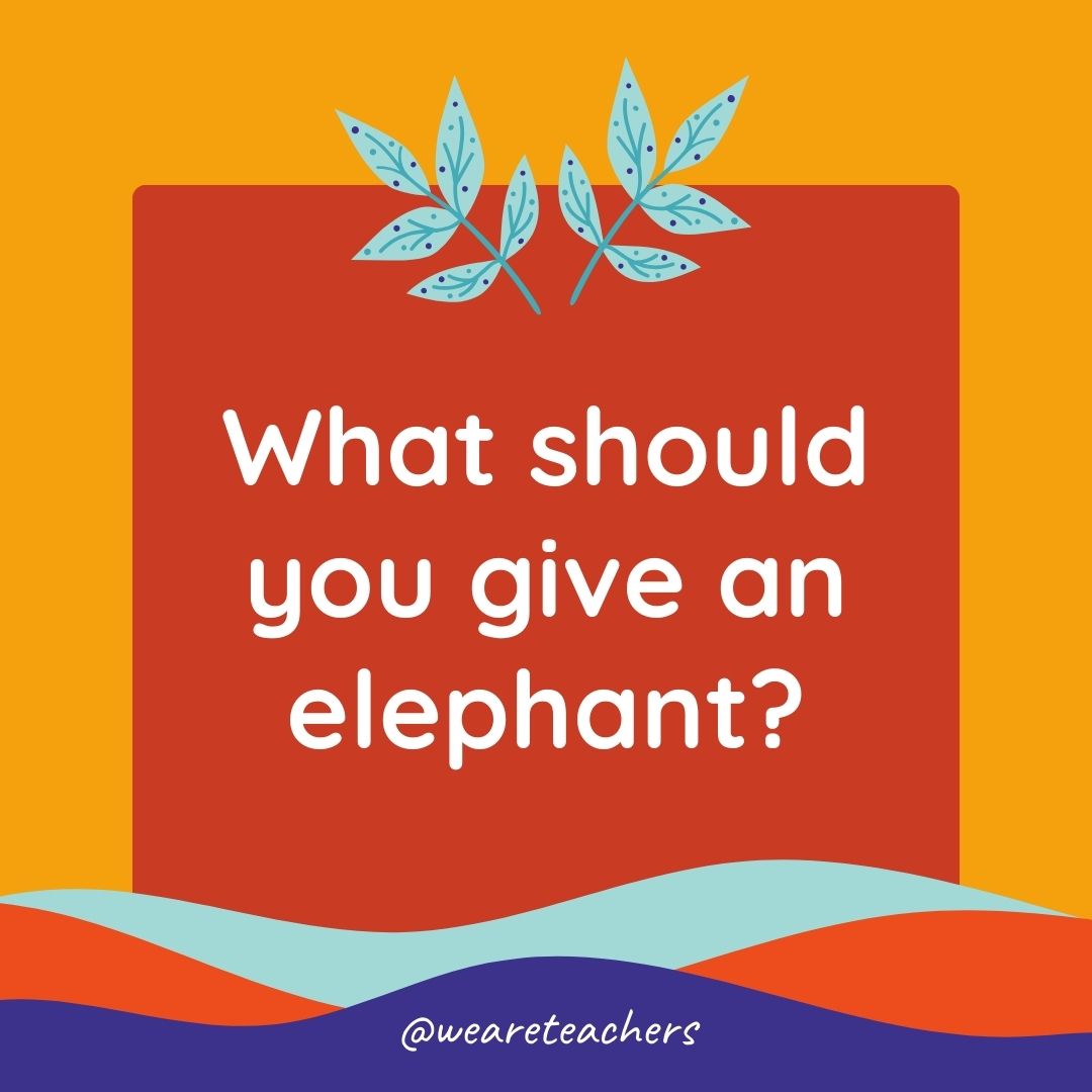 Animal Jokes for Kids