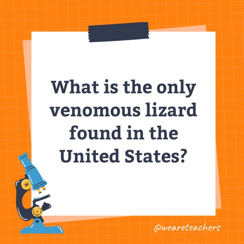 an image of a science trivia question for kids that states: What is the only venomous lizard found in the United States?