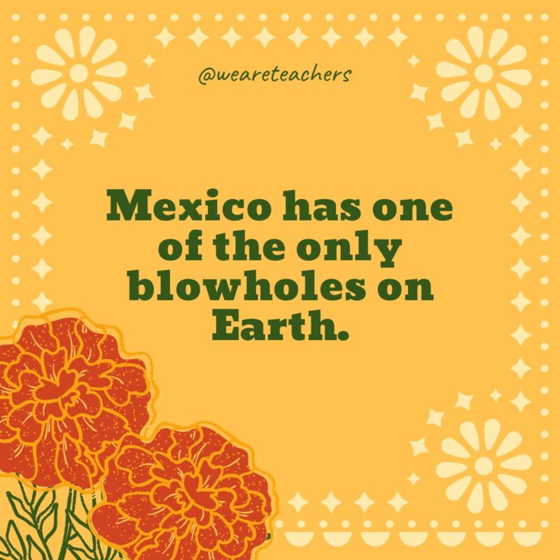 Mexico has one of the only blowholes on Earth.