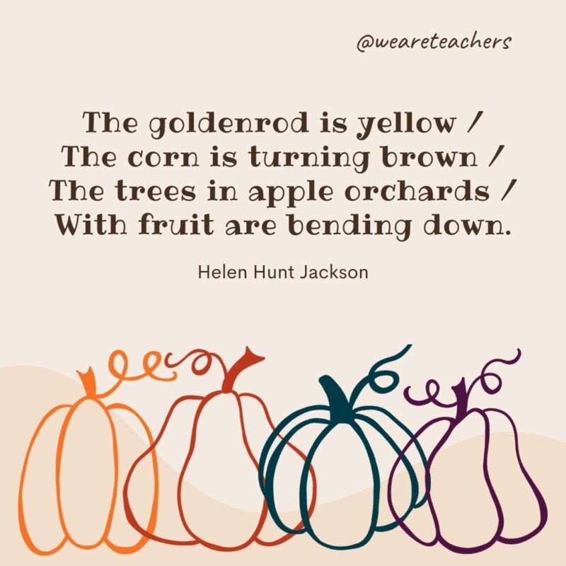The goldenrod is yellow / The corn is turning brown / The trees in apple orchards / With fruit are bending down. —Helen Hunt Jackson
