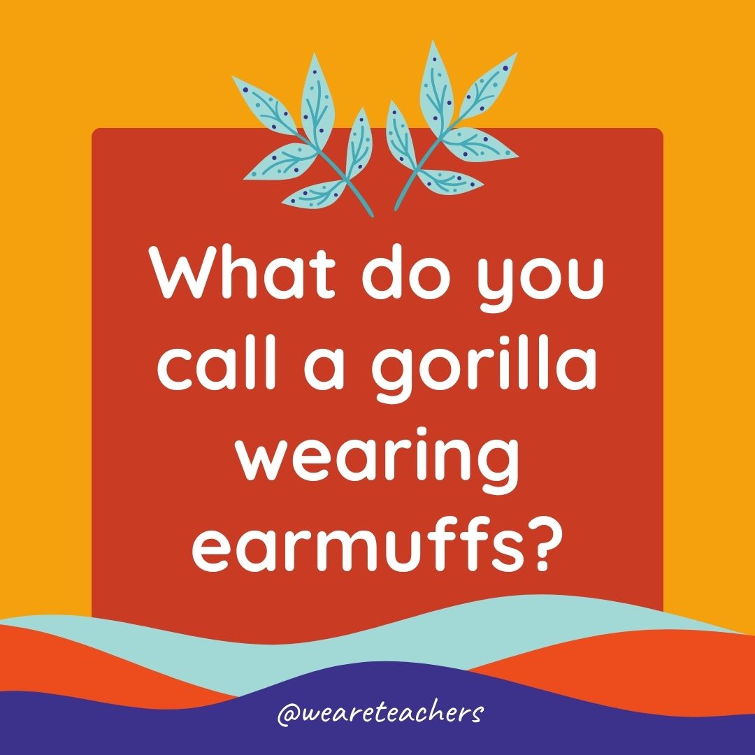 Animal Jokes for Kids