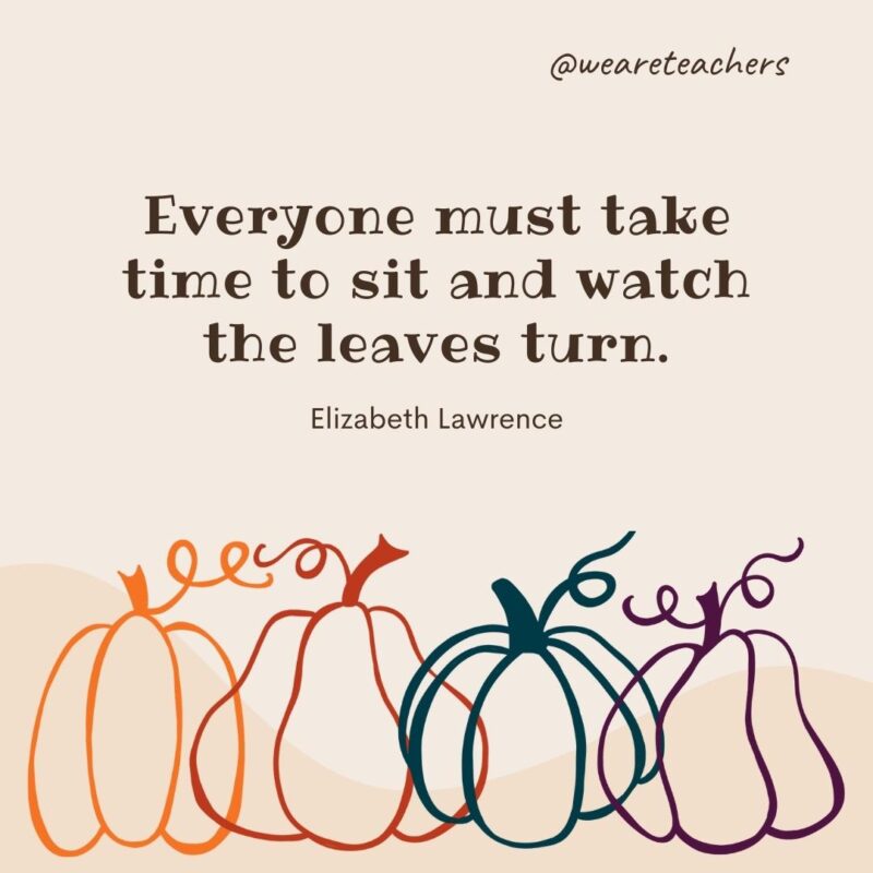 Everyone must take time to sit and watch the leaves turn. —Elizabeth Lawrence