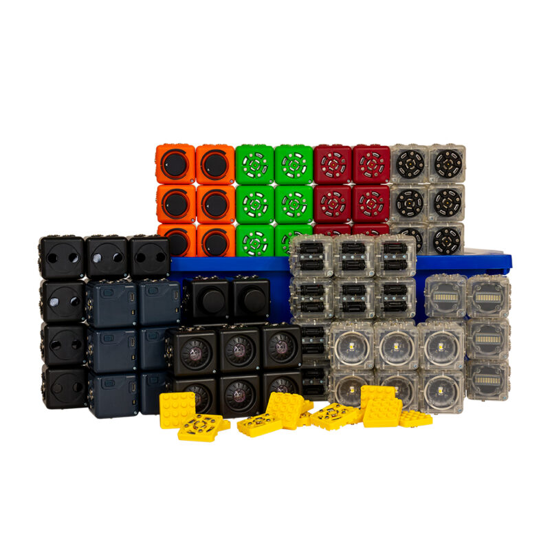 Building blocks used in Ward's Science Clever Constructors activity