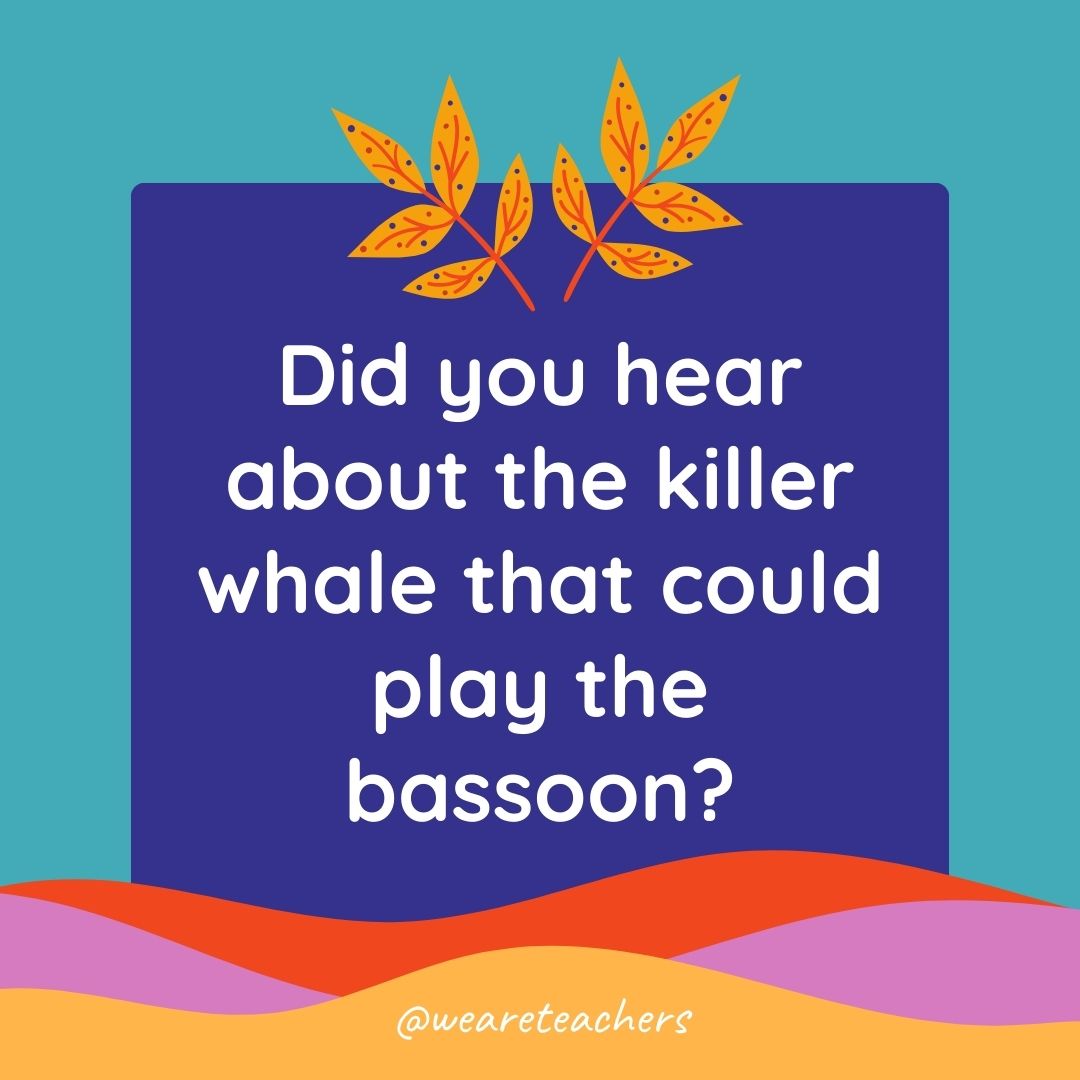 Animal Jokes for Kids