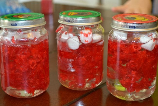 Glass jars full of corn syrup, red candy, and marshmallows (Fourth Grade Science)