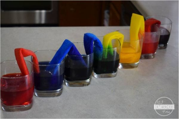 Glasses of colored water with paper towel strips leading from one to the next
