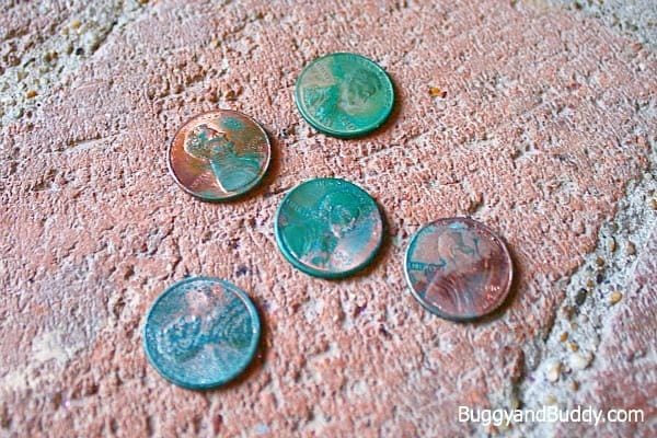Five pennies turned various shades of green (Fourth Grade Science)