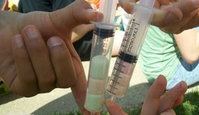 Fourth grade science students holding large syringes filled with colorful marshmallows