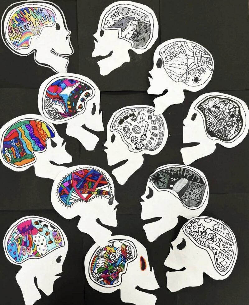 4th Grade Art: Brains Paper skulls with brains drawn in color or black and white