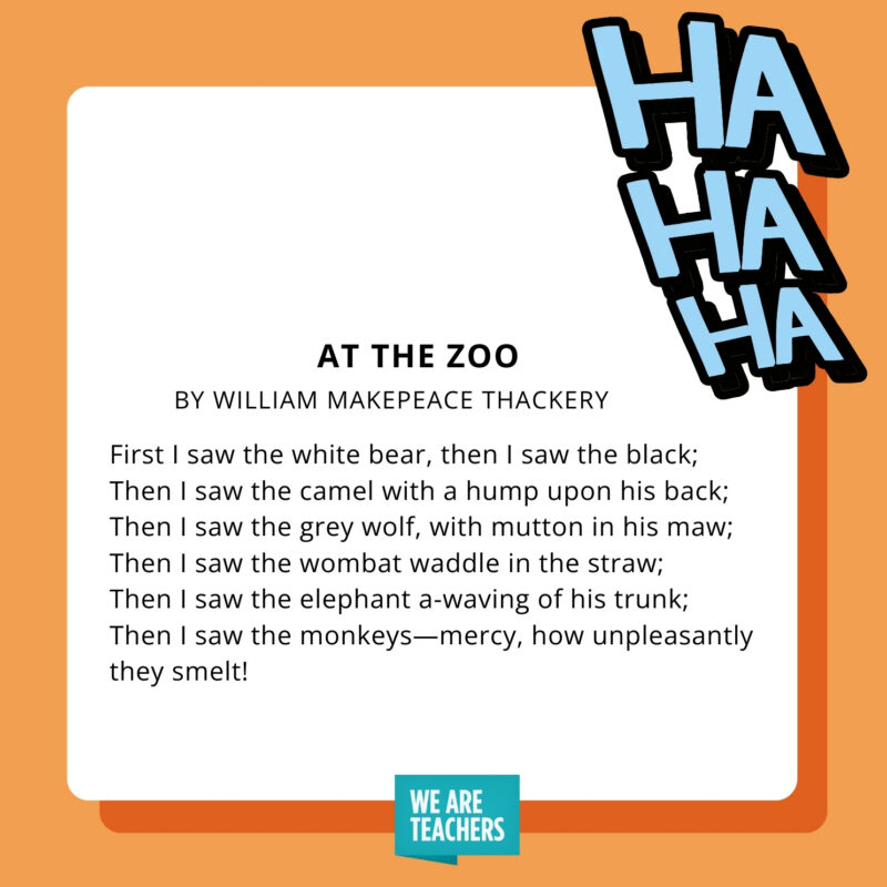 an image of a funny poem for kids: At The Zoo