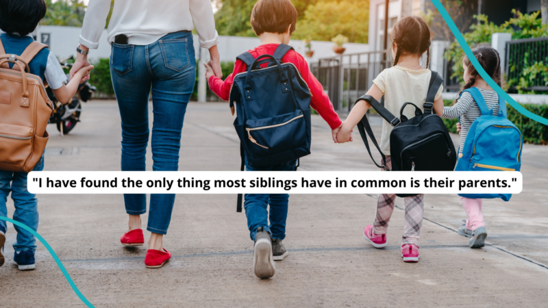 5 Things That Are Absolutely True About Teaching Siblings