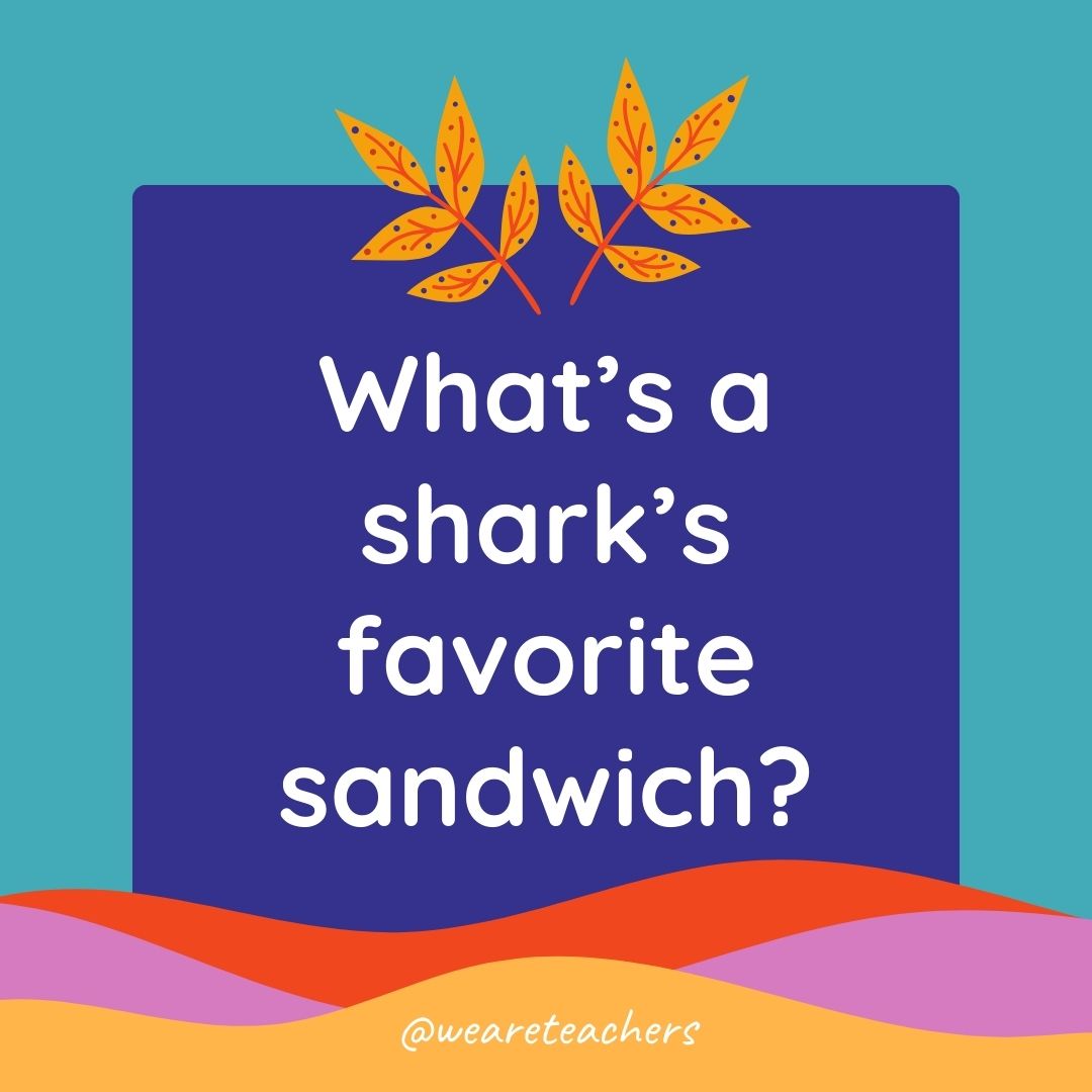 Animal Jokes for Kids